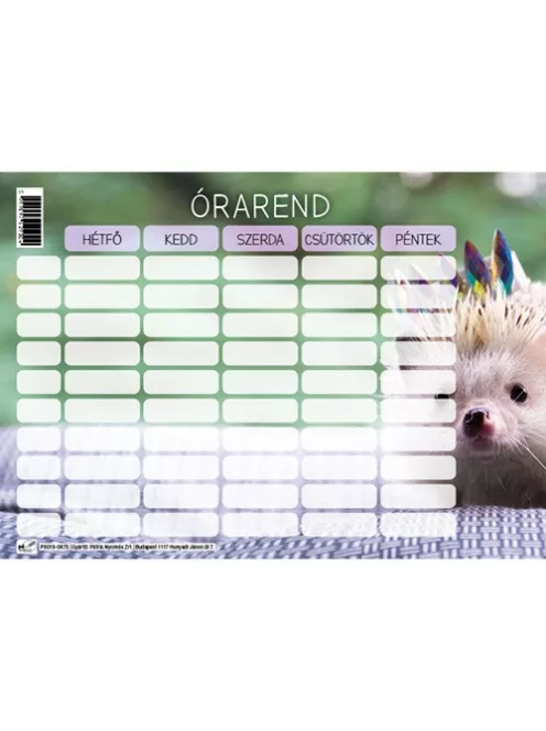 Pd School Órarend pd 165x117 mm vegyes