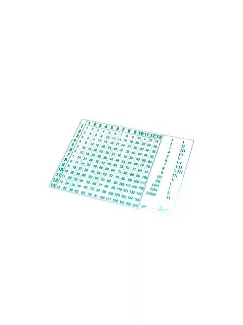 Noname Bennfoglaló táblázat