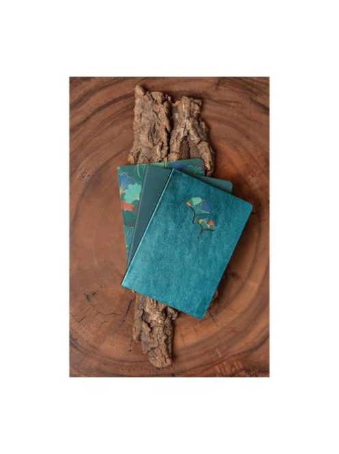 Clairefontaine Bőr jegyzetfüzet Clairefontaine Ginkgo, A5, 72 lapos, vonalas, vegyes minta