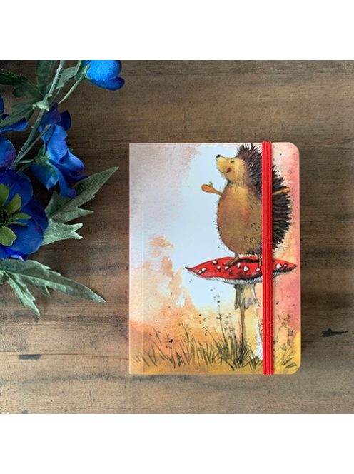 Alex Clark Jegyzetfüzet Alex Clark, vonalas, 14x10,5cm, 160 oldal, gumis,süni gombán