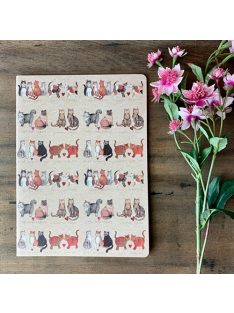   Alex Clark Füzet Alex Clark, vonalas, 18,5x25,5 cm, 40 oldal,Cicák