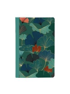   Clairefontaine Jegyzetfüzet Clairefontaine Gaia kék 9x14 cm, 48 lapos, vonalas, vegyes minta