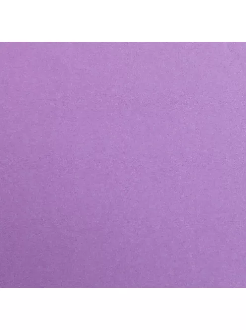 Clairefontaine Karton Clairefontaine Maya A/4 270g sötétlila