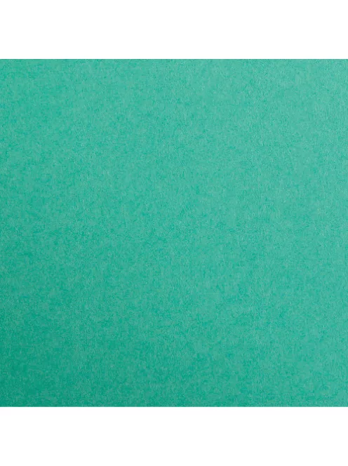 Clairefontaine Karton Clairefontaine Maya A/4 270g sötétzöld