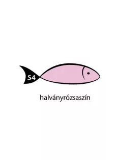   Rainbow Karton Rainbow 50x70 cm 230g pasztell halvány-rózsaszín 54