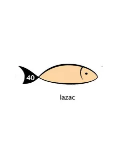 Rainbow Karton Rainbow 50x70 cm 230g pasztell lazac 40