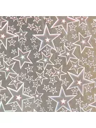 Clairefontaine Kreatív kartonpapír Clairefontaine prizmás metál 25x35 cm 195g vegyes 5 ív/csomag