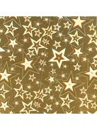 Clairefontaine Kreatív kartonpapír Clairefontaine prizmás metál 25x35 cm 195g vegyes 5 ív/csomag