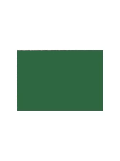 Noname Dekorációs karton 50x70 cm 230g kétoldalas fenyőzöld