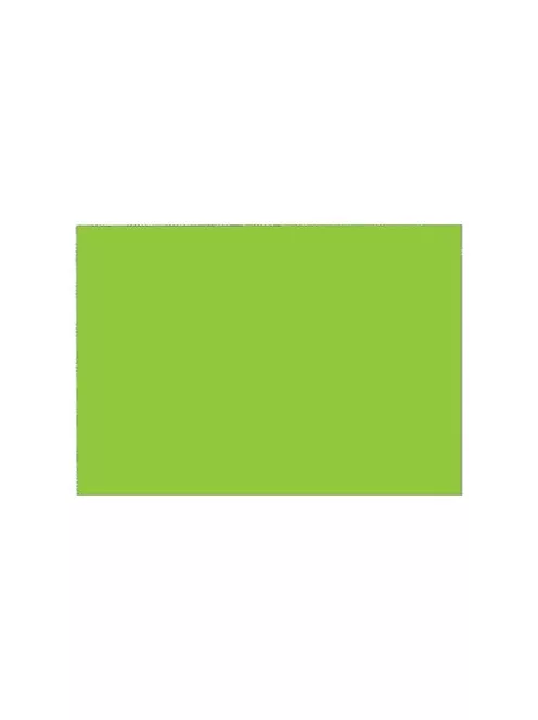 Noname Dekorációs karton 50x70 cm 230g kétoldalas világoszöld