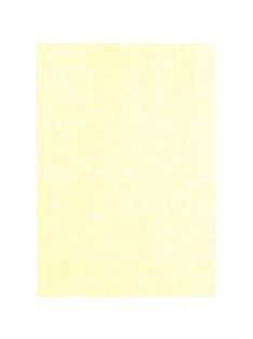 Noname Névjegykártya karton A/4 250g víz sárga