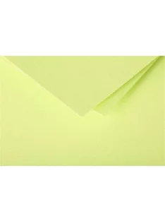   Clairefontaine Boríték Clairefontaine Pollen LA/4 szilikonos levélzöld