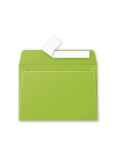   Clairefontaine Boríték Clairefontaine Pollen LC/6 szilikonos intenzív zöld