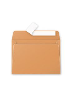   Clairefontaine Boríték Clairefontaine Pollen LC/6 szilikonos narancssárga