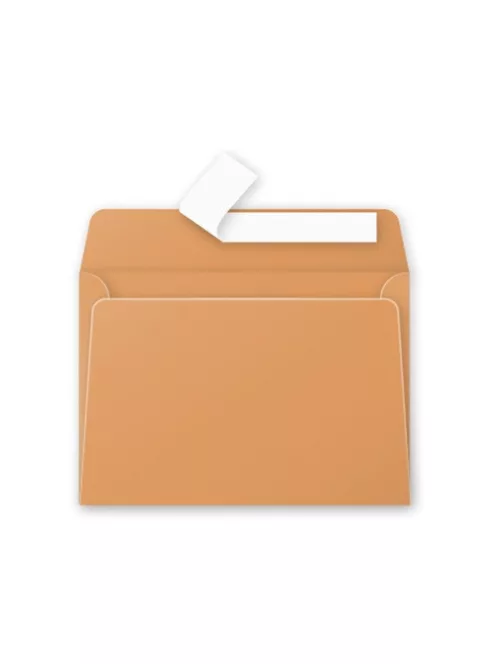 Clairefontaine Boríték Clairefontaine Pollen LC/6 szilikonos narancssárga