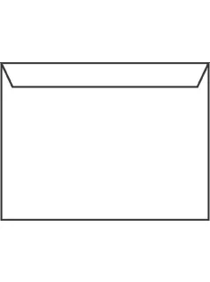 Noname Névjegyboríték 8x12 mm enyvezett