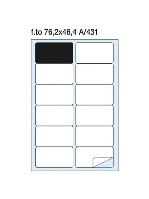 Pátria Egyéb Etikett címke Pátria 76.2x46.4 mm kerekített sarkú