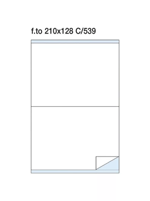 Pátria Egyéb Etikett címke Pátria 210x128 mm szegéllyel
