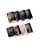 Pigna Füzet Pigna Animal A/4 tűzött 42 lapos vonalas