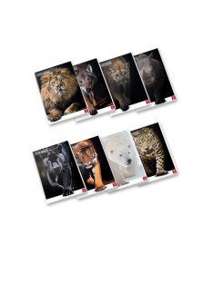 Pigna Füzet Pigna Animal A/4 tűzött 42 lapos kockás