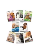 Pigna Füzet Pigna Dolci Cuccioli A/4 tűzött 42 lapos vonalas