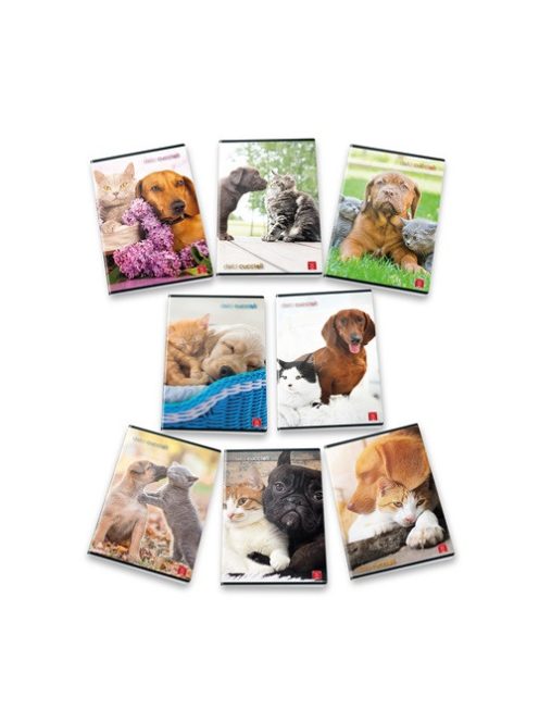 Pigna Füzet Pigna Dolci Cuccioli A/4 tűzött 42 lapos kockás