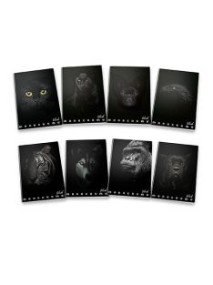 Pigna Füzet Pigna Monocromo Black A/4 38 lapos vonalas