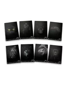 Pigna Füzet Pigna Monocromo Black A/5 42 lapos, vonalas