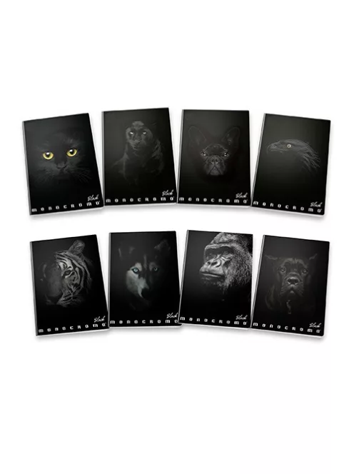 Pigna Füzet Pigna Monocromo Black A/5 42 lapos, vonalas
