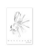 Pigna Füzet Pigna Monocromo Silver A/4 tűzött 38 lapos vonalas