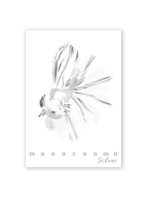 Pigna Füzet Pigna Monocromo Silver A/4 tűzött 38 lapos vonalas