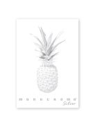 Pigna Füzet Pigna Monocromo Silver A/4 tűzött 38 lapos vonalas