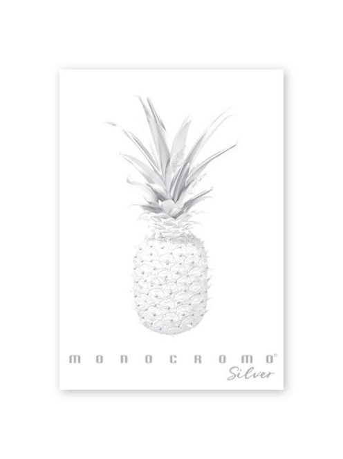 Pigna Füzet Pigna Monocromo Silver A/4 tűzött 38 lapos vonalas