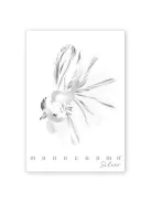 Pigna Füzet Pigna Monocromo Silver A/4 tűzött 38 lapos kockás