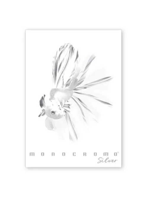 Pigna Füzet Pigna Monocromo Silver A/4 tűzött 38 lapos kockás