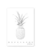 Pigna Füzet Pigna Monocromo Silver A/4 tűzött 38 lapos kockás