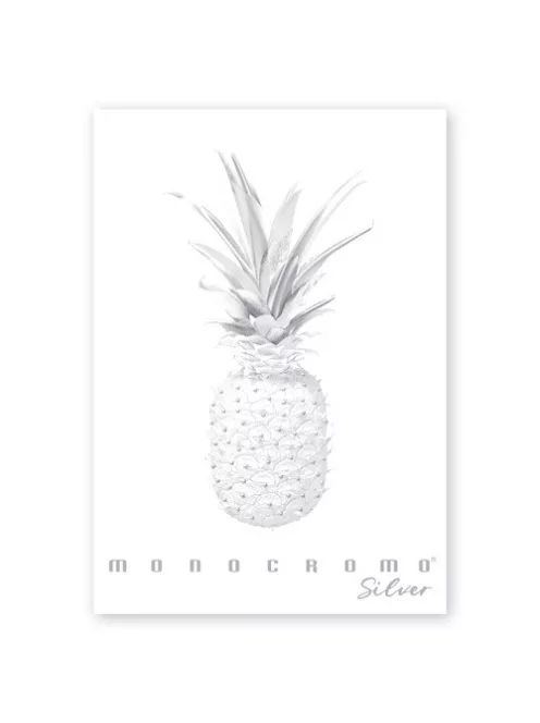 Pigna Füzet Pigna Monocromo Silver A/4 tűzött 38 lapos kockás