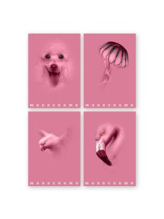   Pigna Füzet Pigna Monocromo Pink A/4 tűzött 38 lapos vonalas