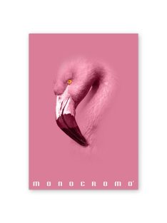   Pigna Füzet Pigna Monocromo Pink A/4 tűzött 38 lapos vonalas
