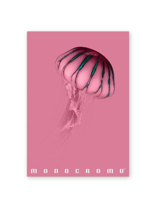 Pigna Füzet Pigna Monocromo Pink A/4 tűzött 38 lapos vonalas