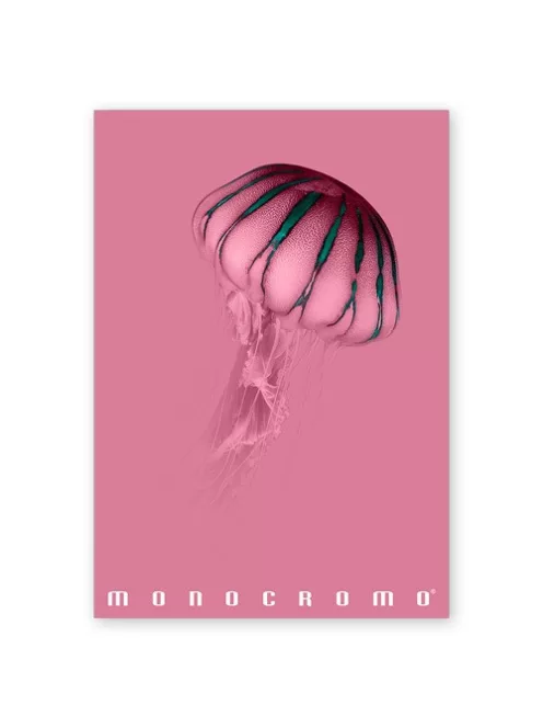 Pigna Füzet Pigna Monocromo Pink A/4 tűzött 38 lapos kockás