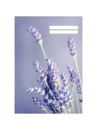 PD School Füzet pd kisalakú 32 lapos 27-32 kockás Colores