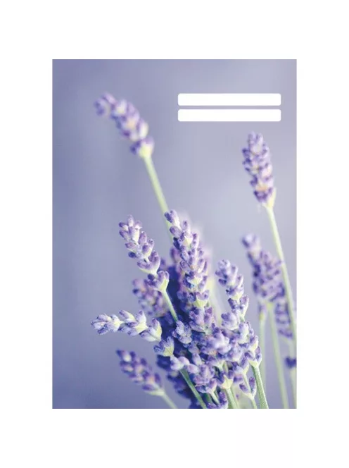 PD School Füzet pd kisalakú 32 lapos 27-32 kockás Colores