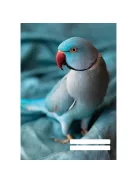 PD School Füzet pd kisalakú 32 lapos 27-32 kockás Colores