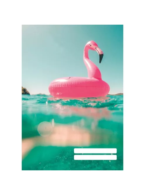 PD School Füzet pd kisalakú 32 lapos 27-32 kockás Colores