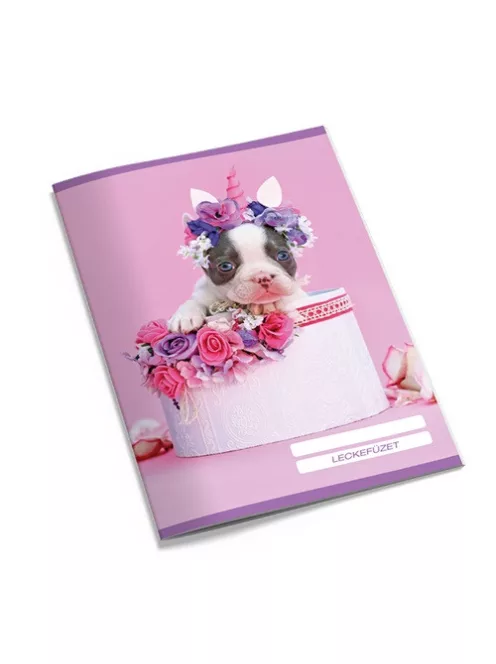 Pd School Leckefüzet pd kisalakú 40 lapos