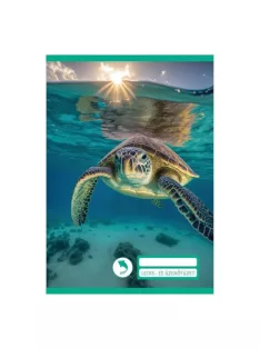   Pd School Leckefüzet és üzenőfüzet pd kisalakú 40 lapos