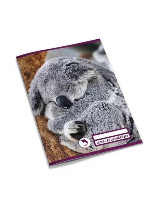 Pd School Leckefüzet és üzenőfüzet pd kisalakú 40 lapos