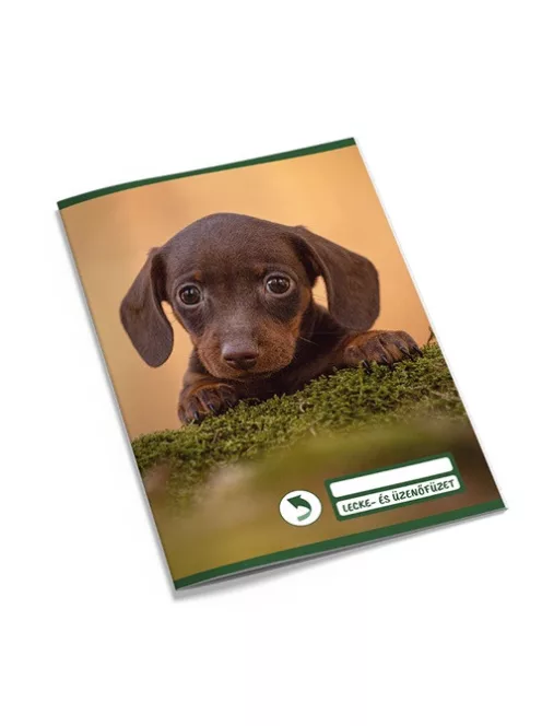 Pd School Leckefüzet és üzenőfüzet pd kisalakú 40 lapos