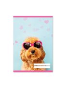 PD School Füzet pd kisalakú 27-32 kockás School United 2023